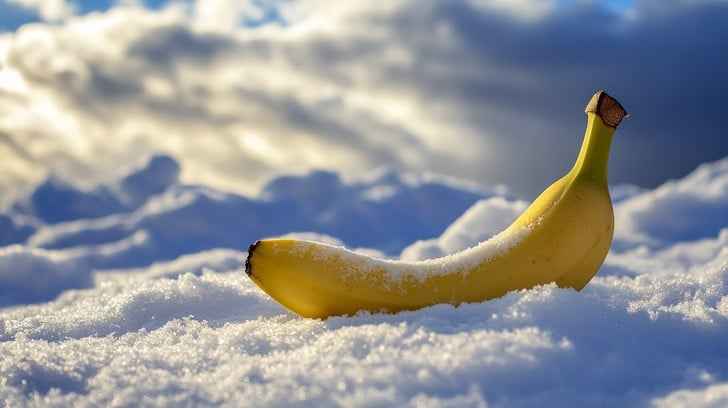 Banana on snow Banana on snow
