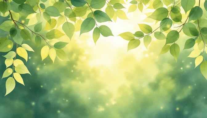 Dappled Forest Light