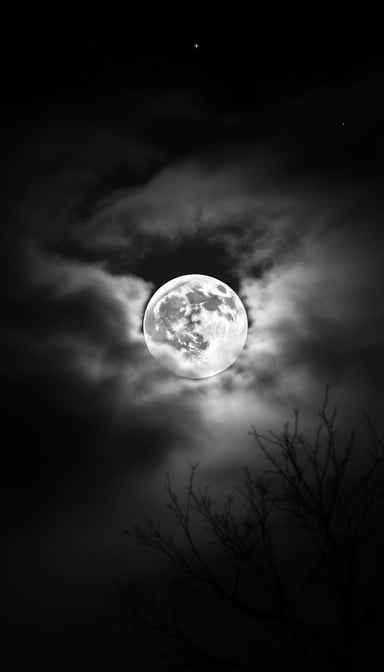 Moonlight Through Darkness