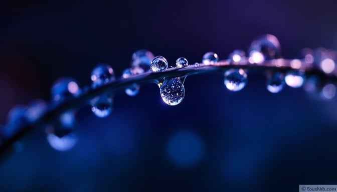 Midnight Dew Dance Midnight Dew Dance