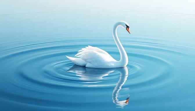 Graceful Swan Reflection