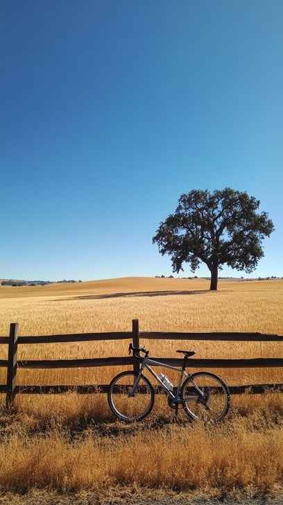 Bicycle by Fence