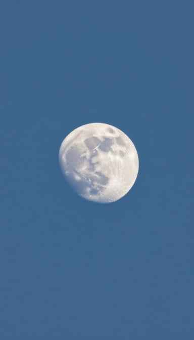 Majestic Moon Rising