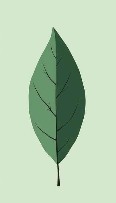Minimalist Green Leaf Minimalist Green Leaf
