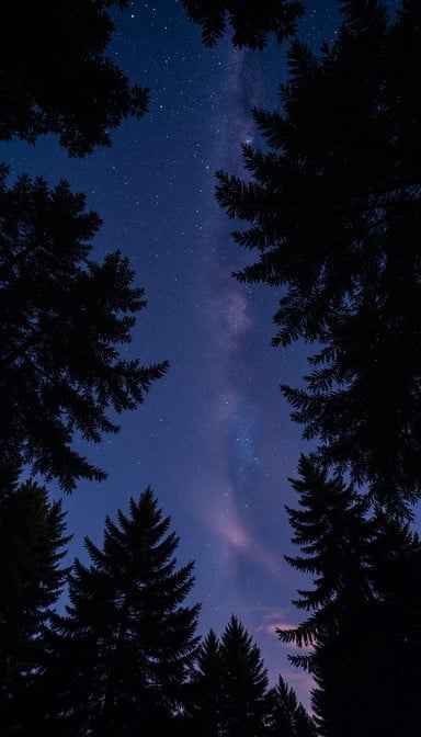 Celestial Forest View