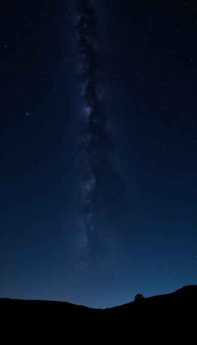 Starlit Midnight Canvas