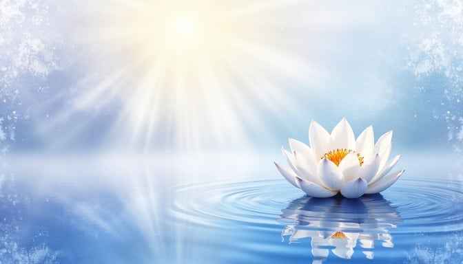 Serene Lotus Bloom
