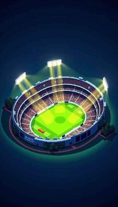 Illuminated Stadium Night