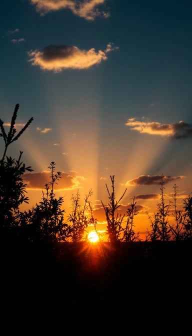 Nature's Golden Goodbye Nature's Golden Goodbye
