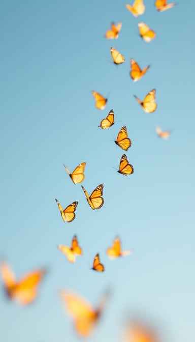 Monarchs Taking Flight Monarchs Taking Flight
