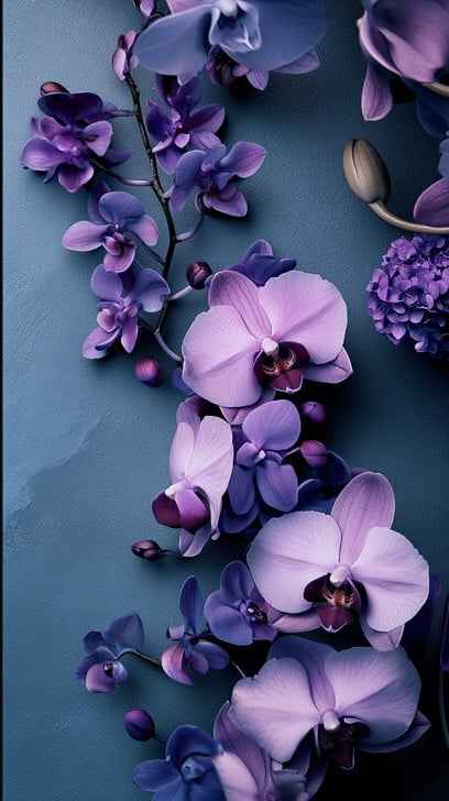 Elegant Orchid Display