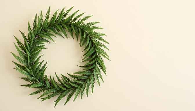Minimalist Botanical Wreath Minimalist Botanical Wreath