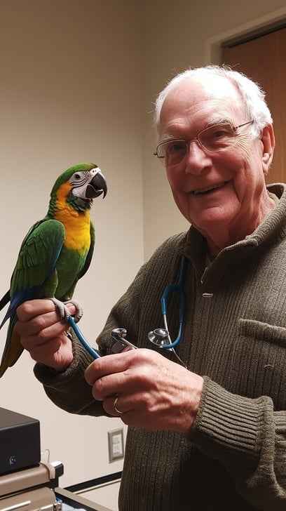 Veterinarian holding parrot Veterinarian holding parrot