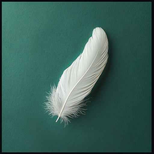 Single white feather