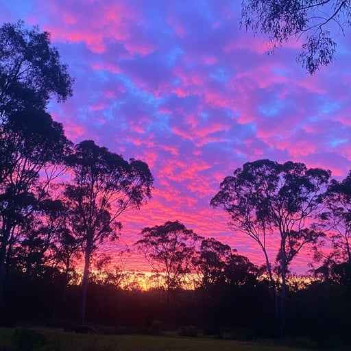 Vivid Sunset Silhouettes Vivid Sunset Silhouettes