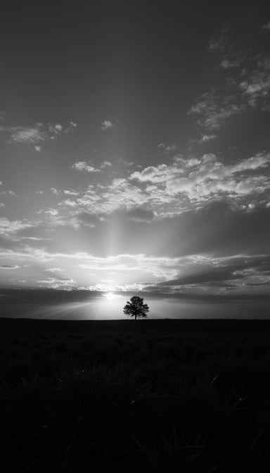 Solitude in light Solitude in light