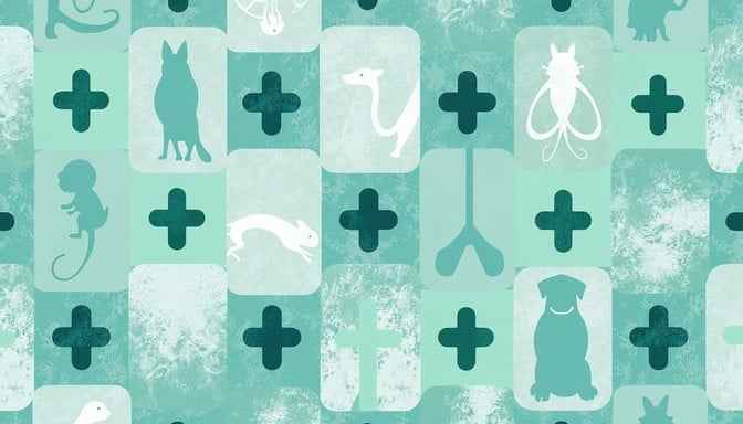 Veterinary Care Pattern Veterinary Care Pattern
