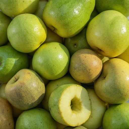 Fresh Green Apples Fresh Green Apples