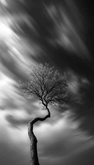 Twisted Tree Dancing