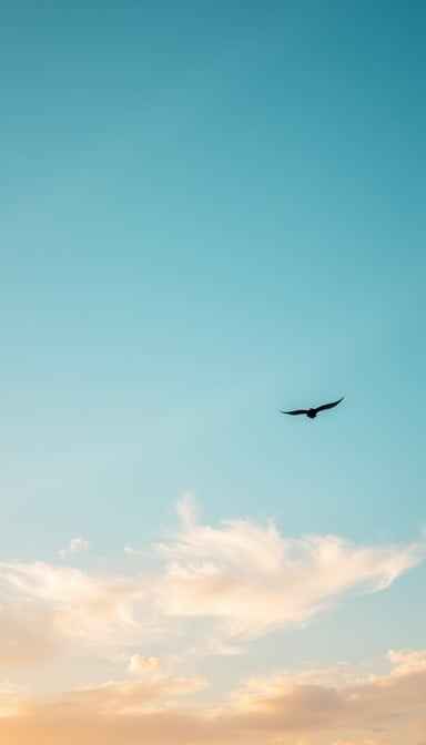 Solitary Sky Journey Solitary Sky Journey
