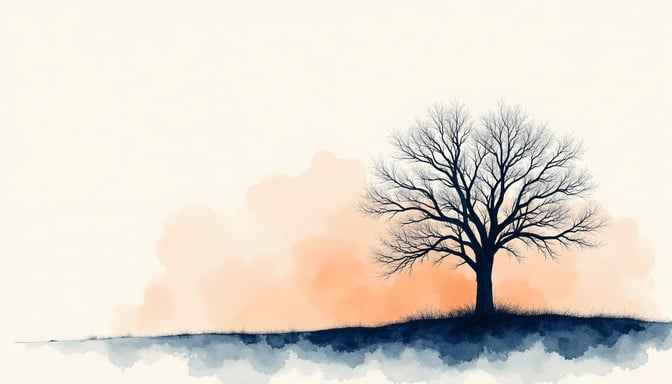 Solitude at dawn Solitude at dawn