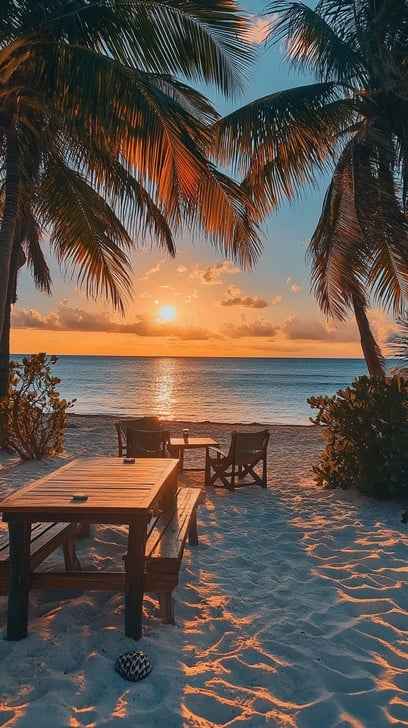 Beach Sunset Dinner Beach Sunset Dinner