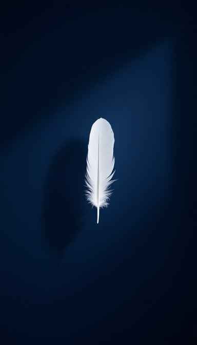 Floating White Plume Floating White Plume