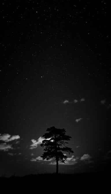 Starlit Tree Silhouette
