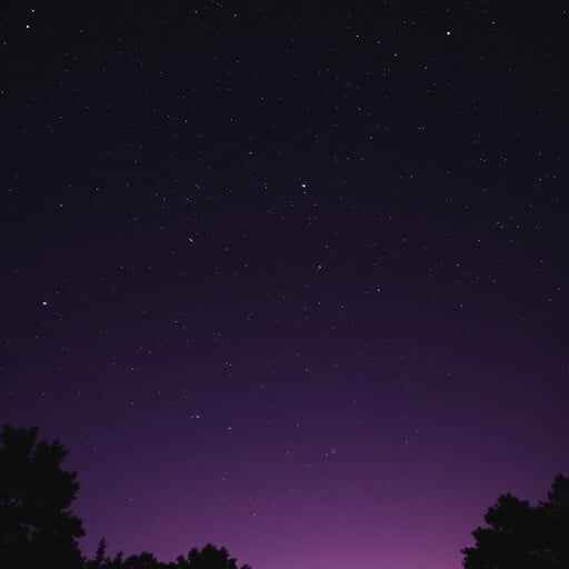 Purple Night Stars Purple Night Stars