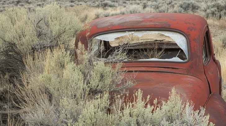 Abandoned Red Car