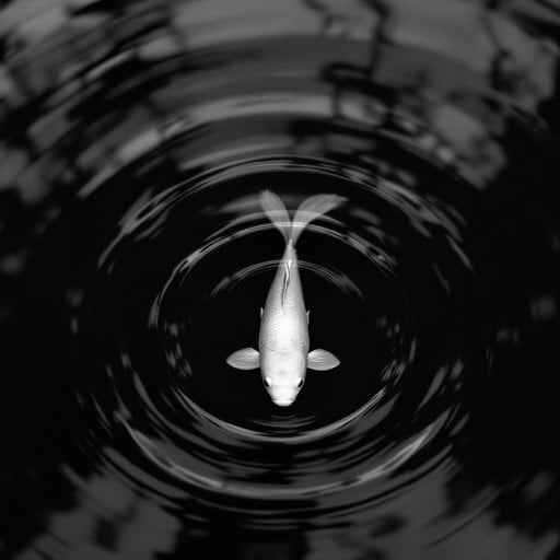 Rippling Koi Serenity